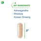 Nutra BioGenesis - BioAdaptogen Ultra - Ashwagandha, Rhodiola and Korean Ginseng to Help Support Stress Response and Neurotransmitter Health - 60 Capsules