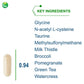Nutra BioGenesis - BioCleanse Capsules - Milk Thistle, N-Acetyl-L-Cysteine & MSM for Liver Support - 120 Capsules