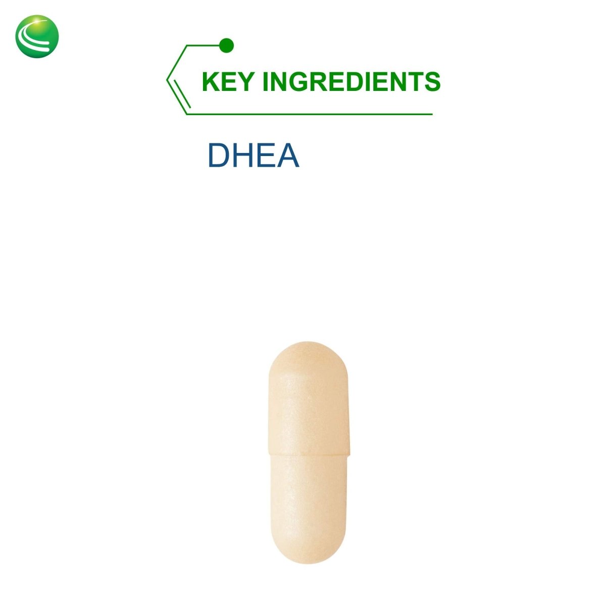 Nutra BioGenesis - DHEA TR - - 10 mg, 120 Capsules
