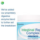 Nutra BioGenesis - Intestinal Support Complex - Slippery Elm, DGL, Marshmallow & L-Glutamine for Intestinal Support - Gluten Free, Vegan, Non-GMO - 160 g