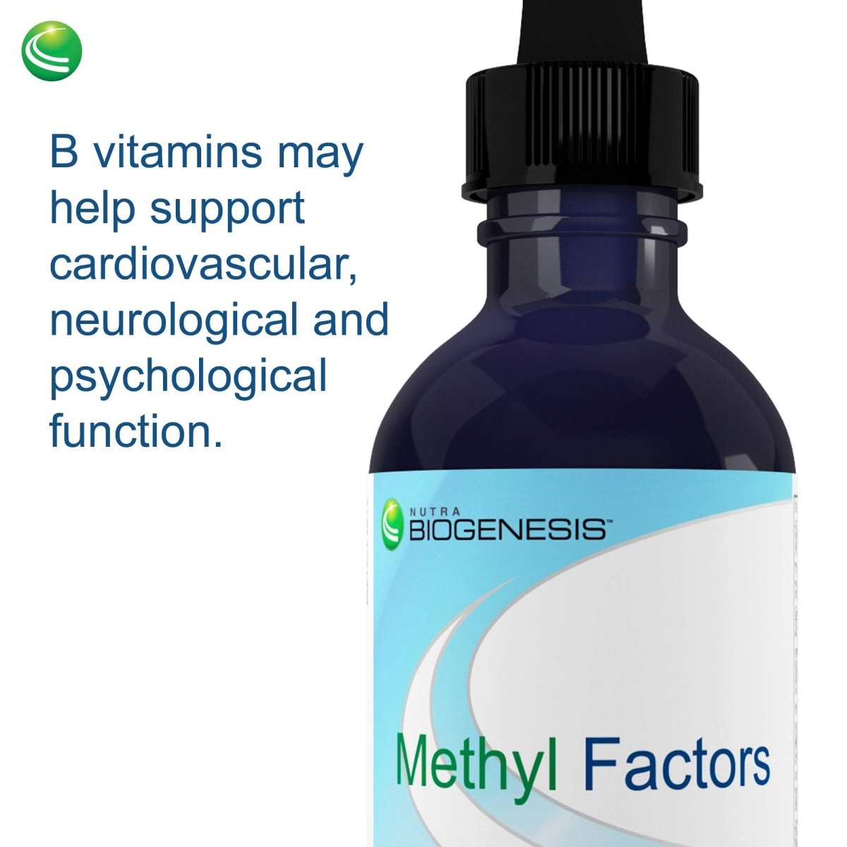 Nutra BioGenesis Methyl Factors Berry Flavor 2 oz PN