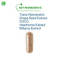 Nutra BioGenesis - Resveratrol Plus Flavonoids - 90 Capsules