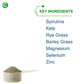 Nutra BioGenesis - Ultra Greens pH - Superfood Powder Dietary Supplement with Organic Spirulina, Kelp, Enzymes and Minerals - 6.8 Ounce