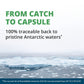 NutraMedix Antarctic Krill Oil 500mg -(60 Softgels)