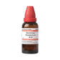 Dr. Willmar Schwabe India Strychninum Phosphoricum Dilution