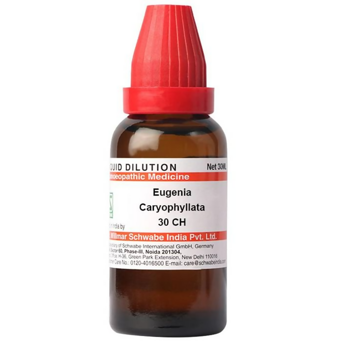 Dr. Willmar Schwabe India Eugenia Caryophyllata Dilution