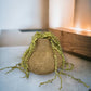 Trailing Succulent Necklace Plant