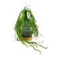 Vintage-Inspired Green Glass Bottle