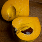 Canistel 'Oro' (Pouteria campechiana)