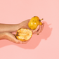 Pond Apple (Annona glabra)