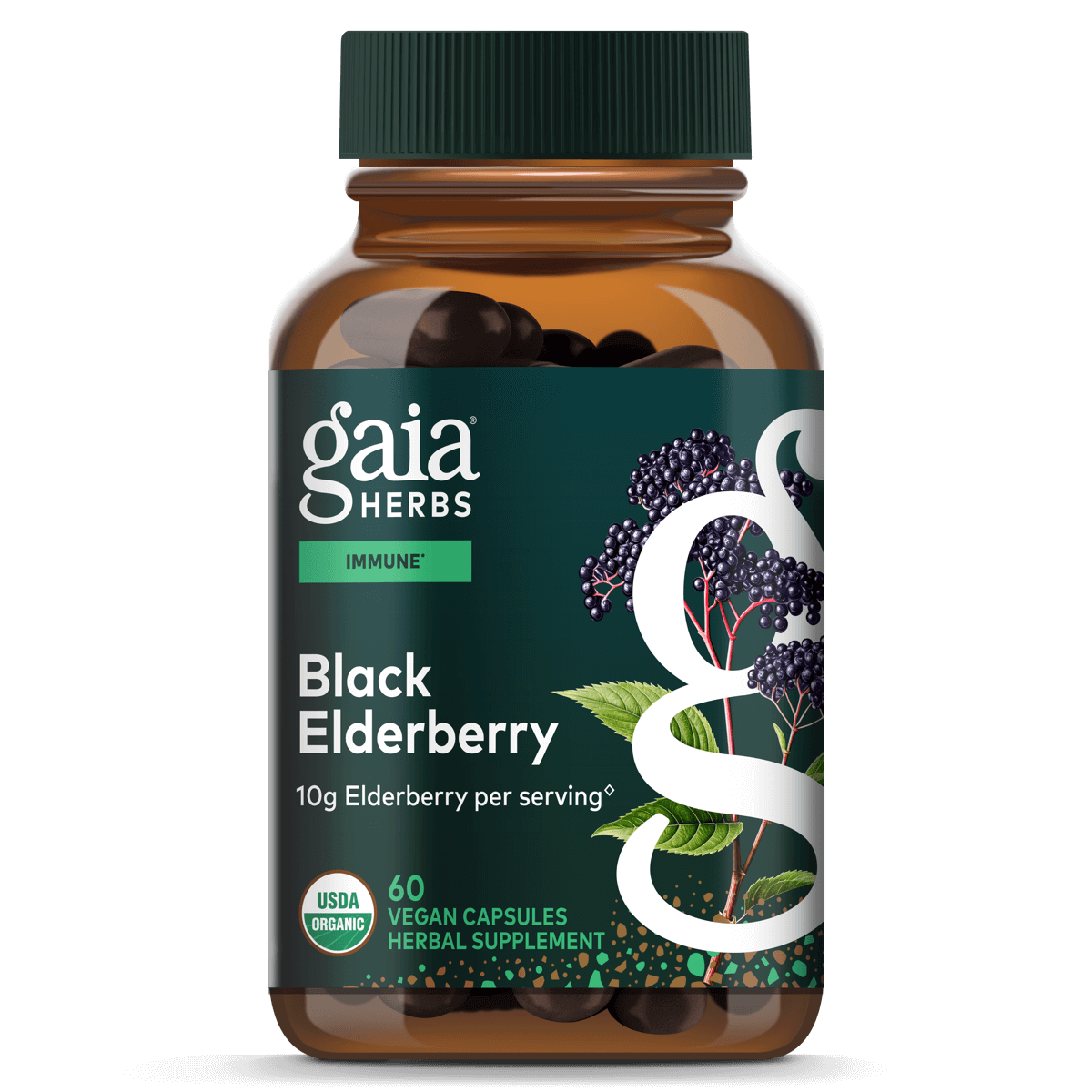 Gaia Herbs Black Elderberry - Daily Immune Support Supplement to Help Maintain Well-Being - 60 Vegan Capsules (30-Day Supply)