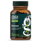 Gaia Herbs Bacopa - Brain and Cognitive Support Herbal Supplement - Made with Bacopa (Bacopa Monnieri) to Help Support a Thriving Mind - 60 Vegan Liquid Phyto-Capsules (Up to 60-Day Supply)