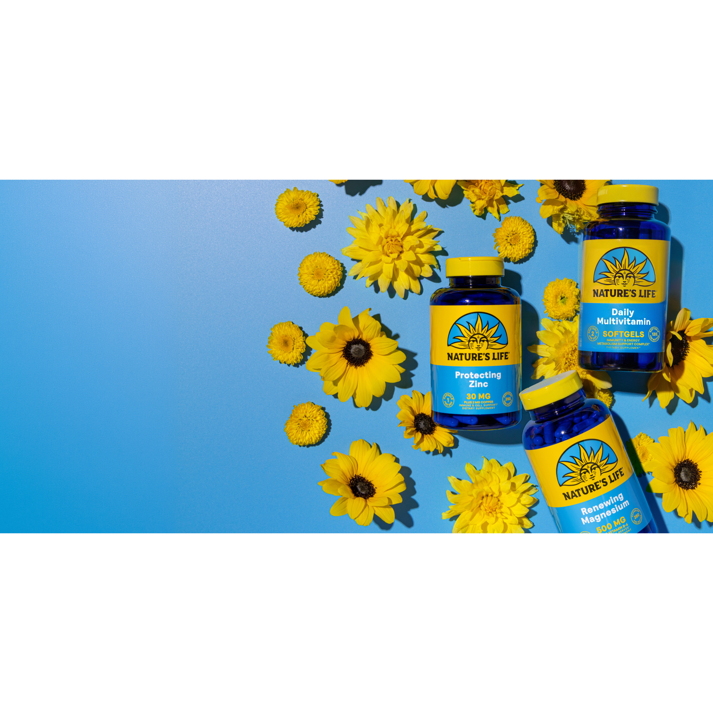 Nature's Life L-Lysine Powder 200 Grams