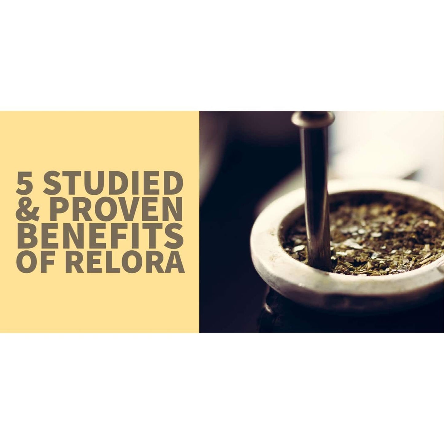 Lifetime Relora 250mg 120 Vcaps
