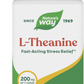Nature's Way Enzymatic Therapy L-theanine 60 cap 09556 - 2 Pack