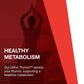 Protocol For Life Balance Ortho Thyroid 90 Vcaps - P3368