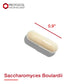 Protocol For Life Balance Saccharomyces Boulardii 60Cap - P2933