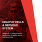 Protocol For Life Balance Vitamin B-12 5000mcg Liquid 4oz