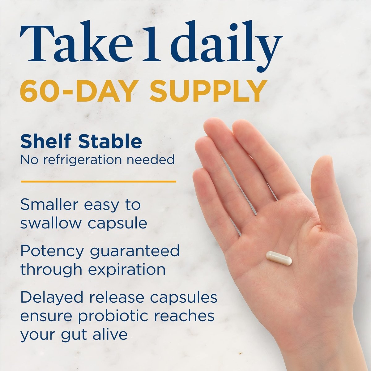 Renew Life Adult Probiotics, 80 Billion CFU Guaranteed, Colon Care Probiotic Supplement for Digestive, Immune, Shelf Stable, Gluten Dairy & Soy Free, 60 Capsules