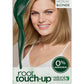 Root Touch-up Permanent Hair Dye