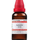 Dr. Willmar Schwabe India Asafoetida Dilution
