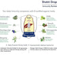 Sri Sri Tattva Shakti Drops