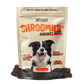 Organic Mushroom Complex for Dogs