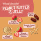 Skout Organic Peanut Butter & Jelly Kids Bar