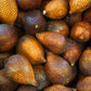 Snake Fruit (Salacca zalacca)