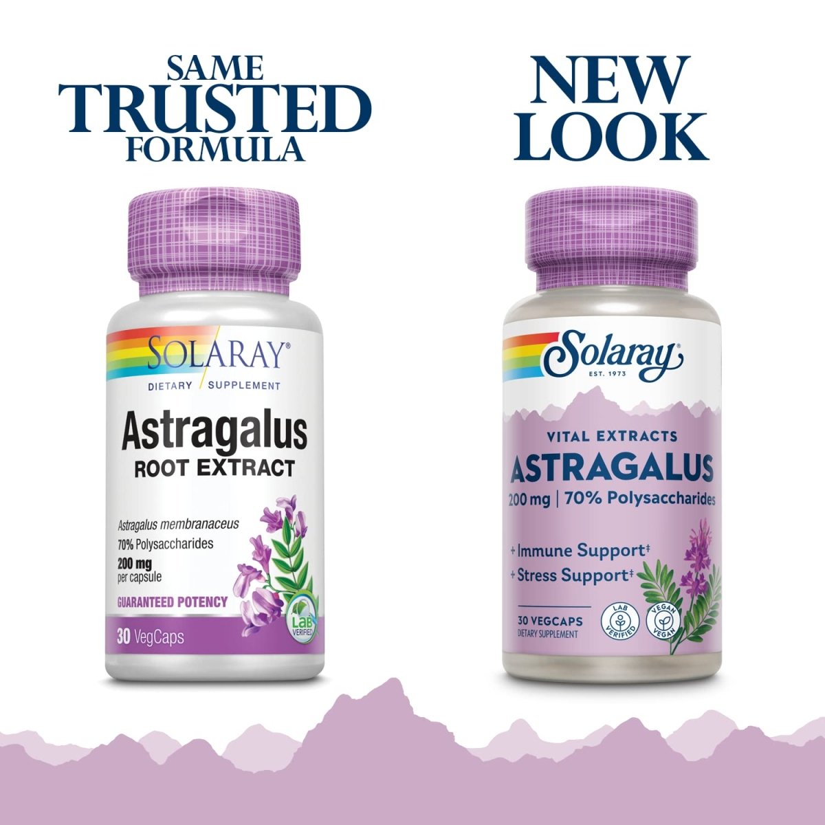 SOLARAY Astragalus Root Extract 200 mg 30 VegCaps