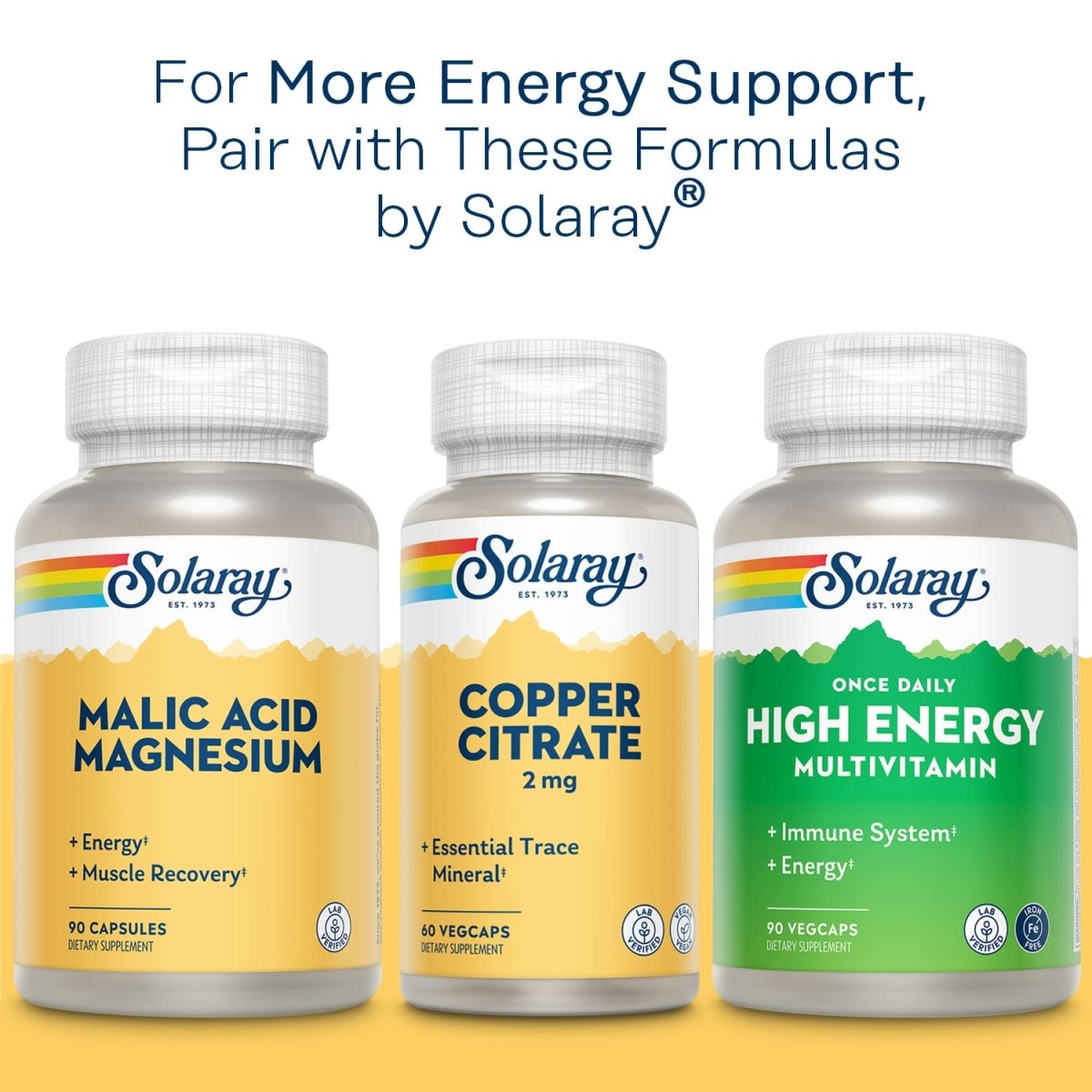 Solaray B-Complex 50mg - Comprehensive B-Vitamin Support for Energy and Overall Well-Being - 100 Count