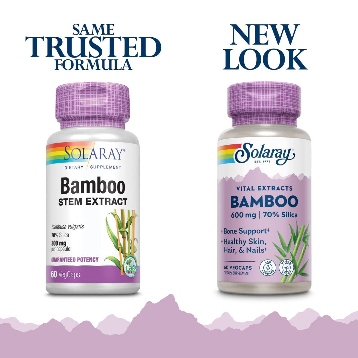 Solaray Bamboo Stem Extract 600mg 60 VegCaps