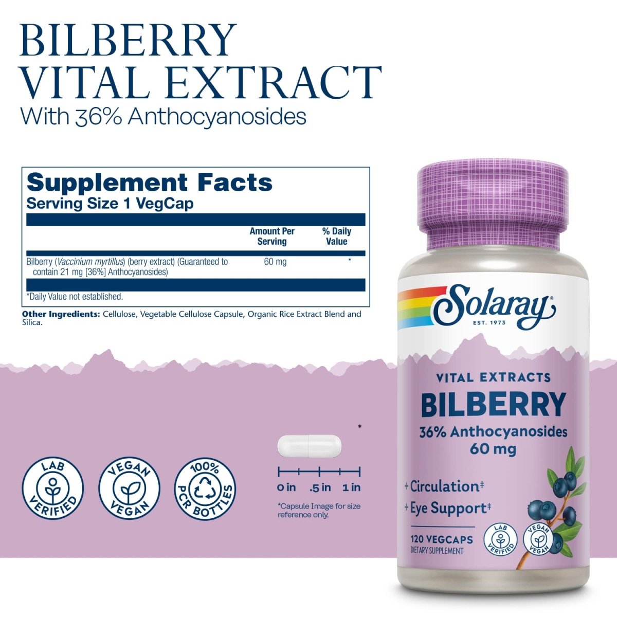 SOLARAY Bilberry Berry Extract 60 mg Per Capsule, Powerful Antioxidant, Guaranteed Potency for Healthy Vision & Circulation Support 120 VegCaps