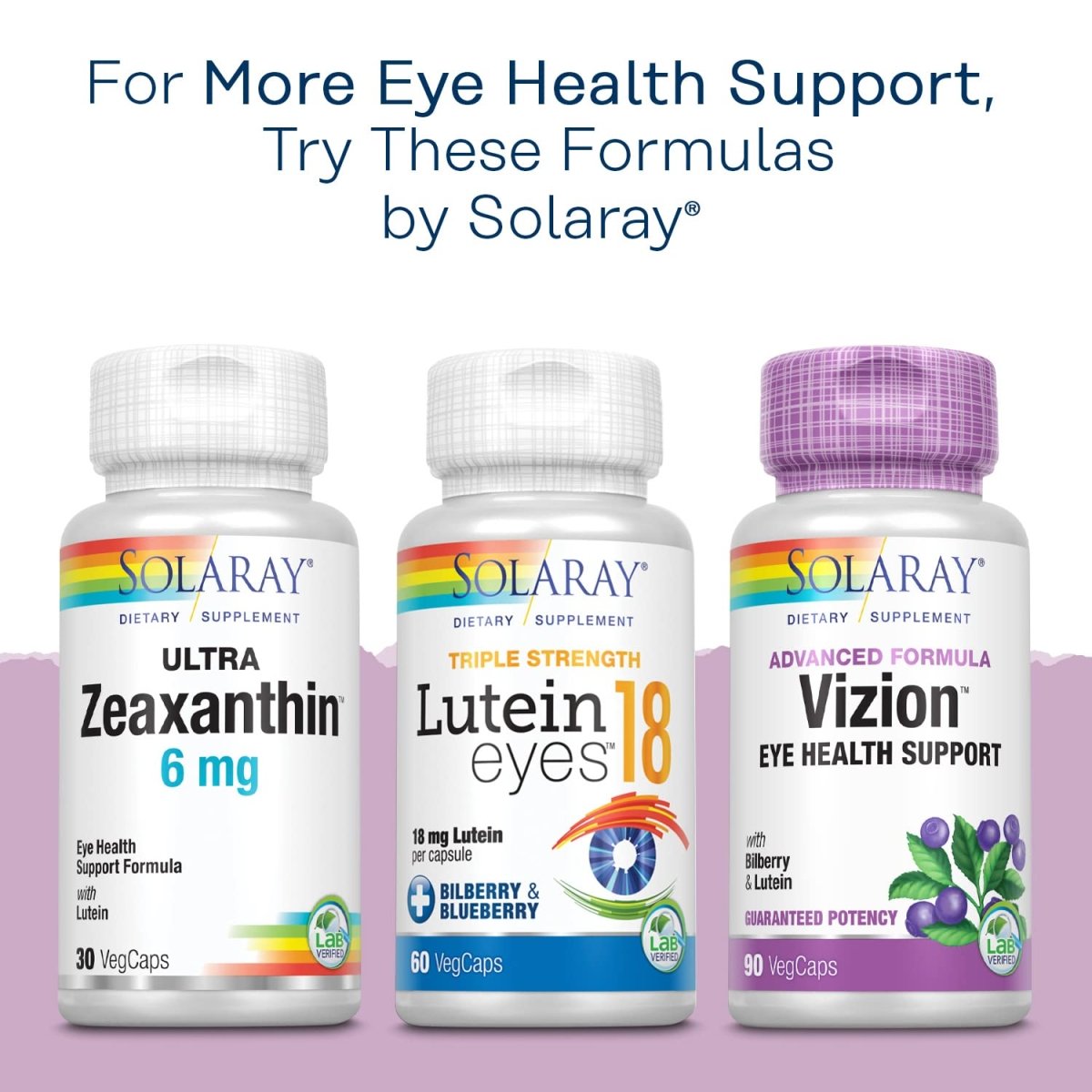 SOLARAY Bilberry Berry Extract - Eye Health & Circulation Support - 120 VegCaps