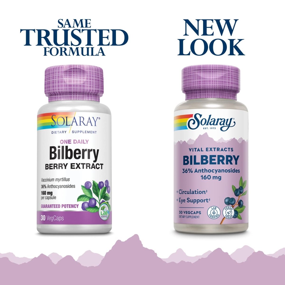 SOLARAY Bilberry Extract 160 mg VegCaps 30 Count