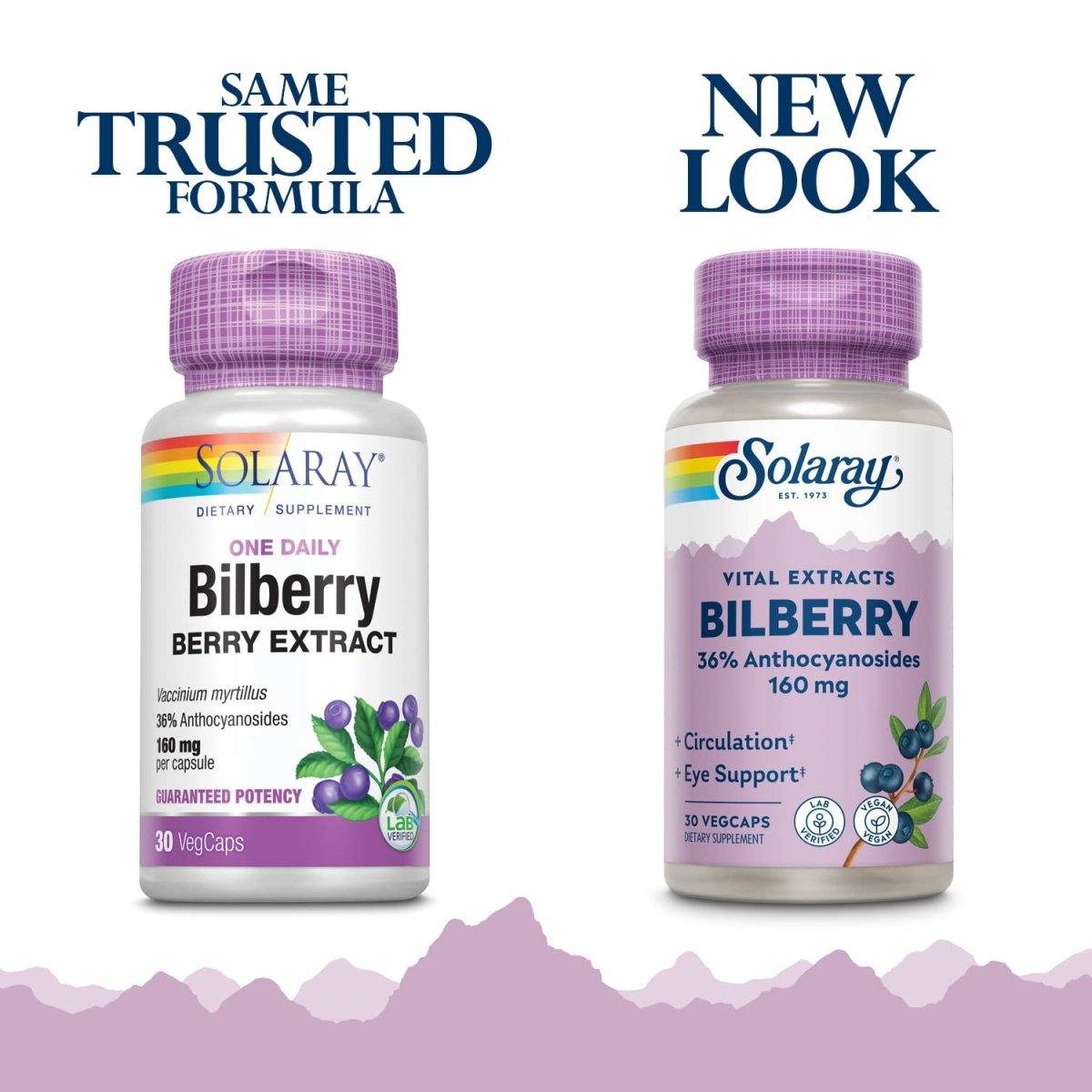 SOLARAY Bilberry Extract 160 mg VegCaps 30 Count