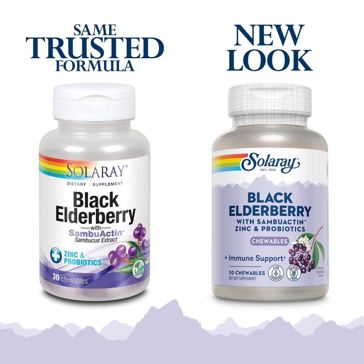 Solaray Black Elderberry Extract with Zinc, Probiotics & Vitamin C 30 Chewable Tablets