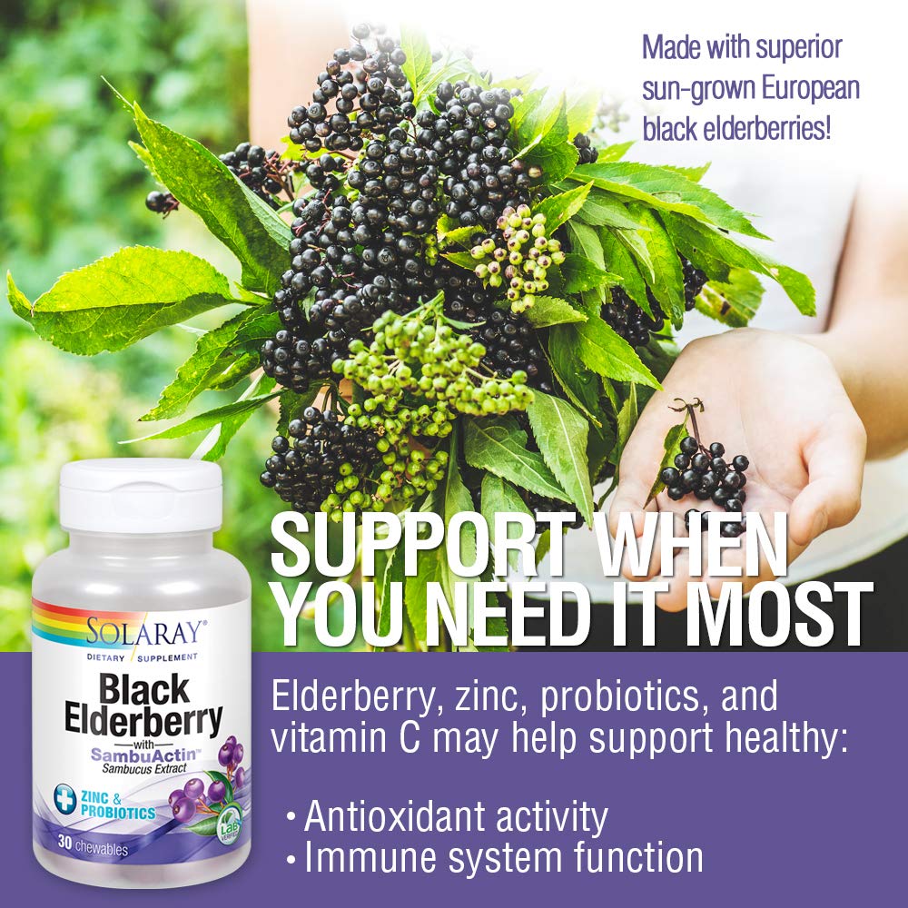 Solaray Black Elderberry Extract with Zinc, Probiotics & Vitamin C 30 Chewable Tablets