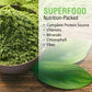 SOLARAY Broken Cell Chlorella 410 mg 100 VegCaps