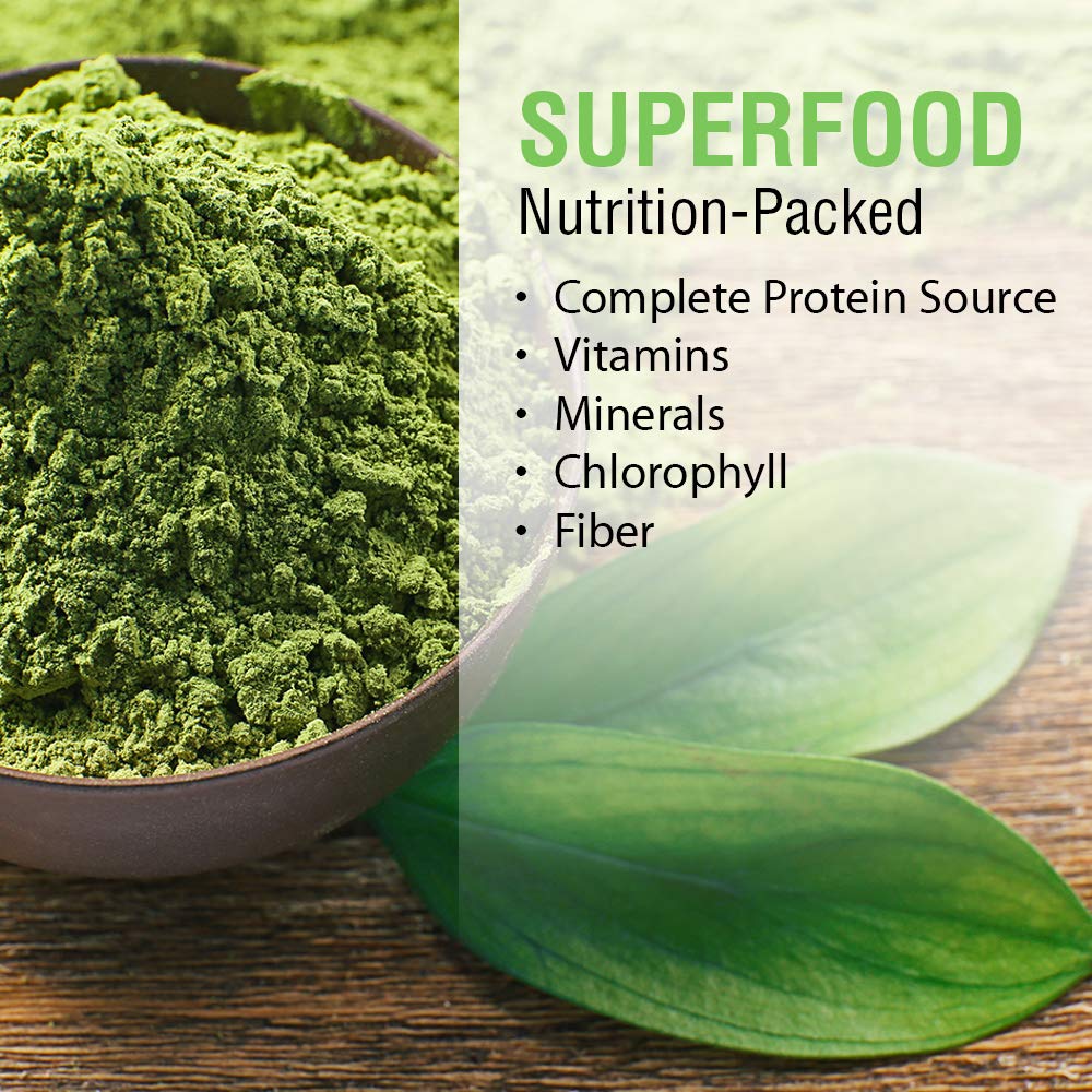 SOLARAY Broken Cell Chlorella 410 mg 100 VegCaps