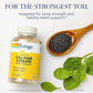 SOLARAY Calcium & Magnesium Citrate 2:1 Ratio w/Vitamin D-3, Healthy Bones, Muscle & Nervous System Support, High Absorption 180 Capsules