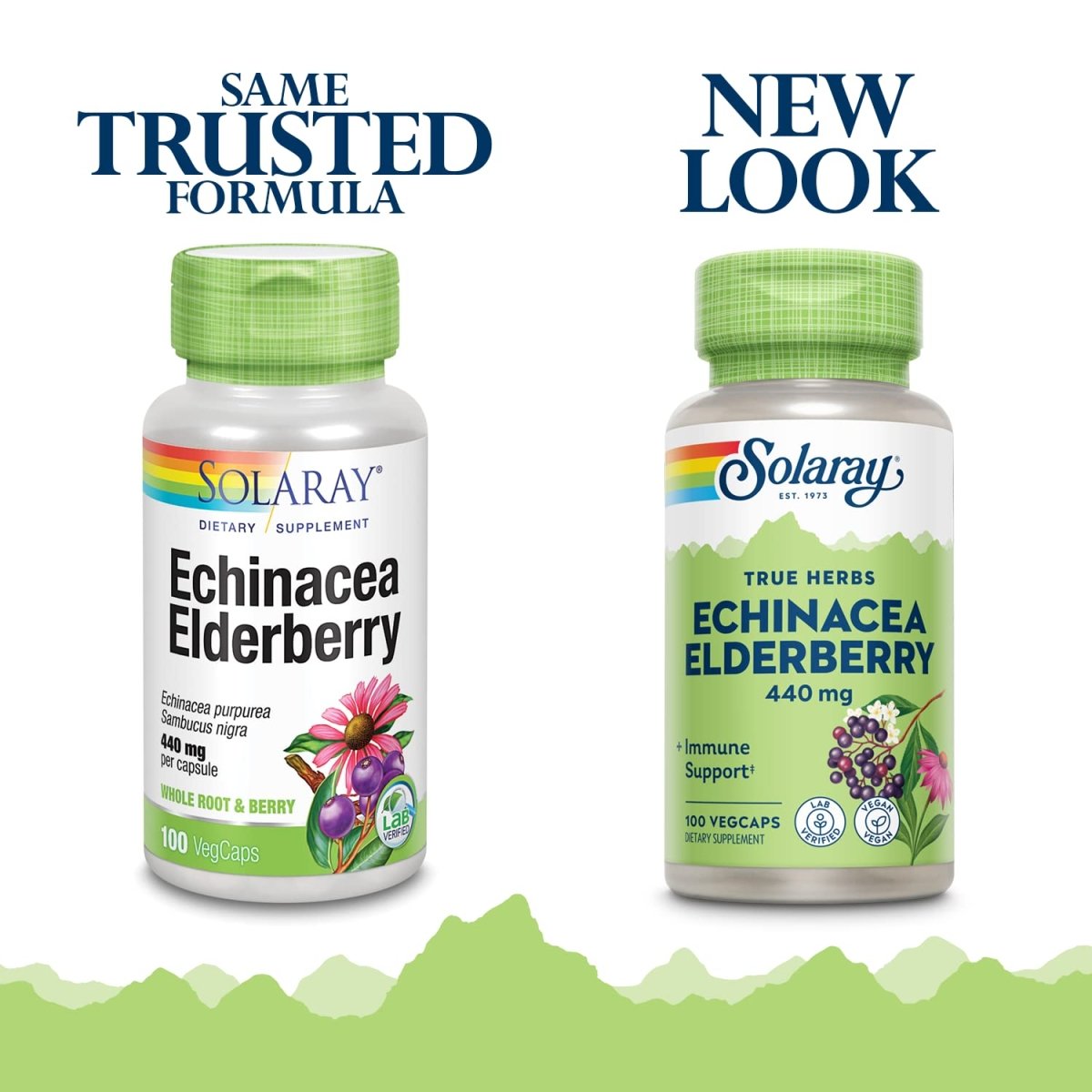 SOLARAY Echinacea and Elderberry Capsules, 440 mg 100 Count