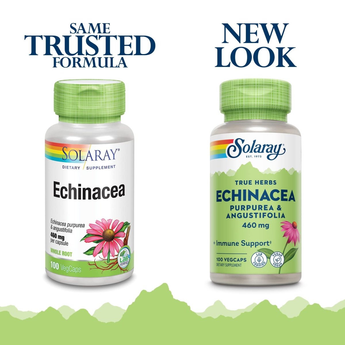 SOLARAY Echinacea Angustifolia & Purpurea Root, Veg Cap (Btl-Plastic) 460mg 100ct