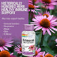 SOLARAY Echinacea Angustifolia Root Extract 125 mg 60 VegCaps