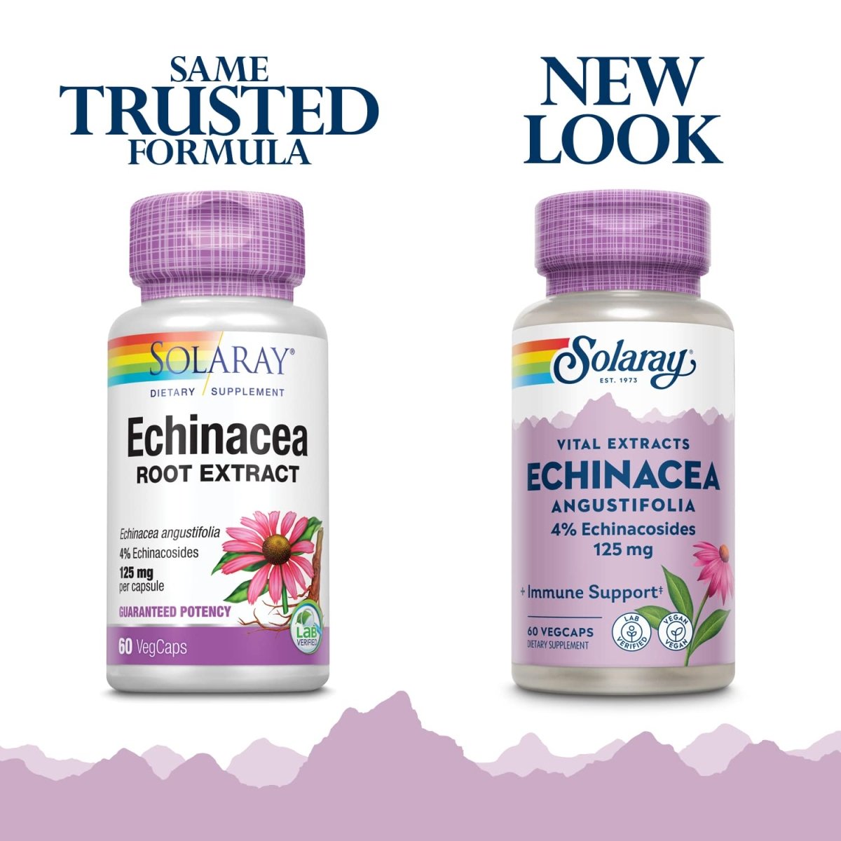 SOLARAY Echinacea Angustifolia Root Extract 125 mg 60 VegCaps