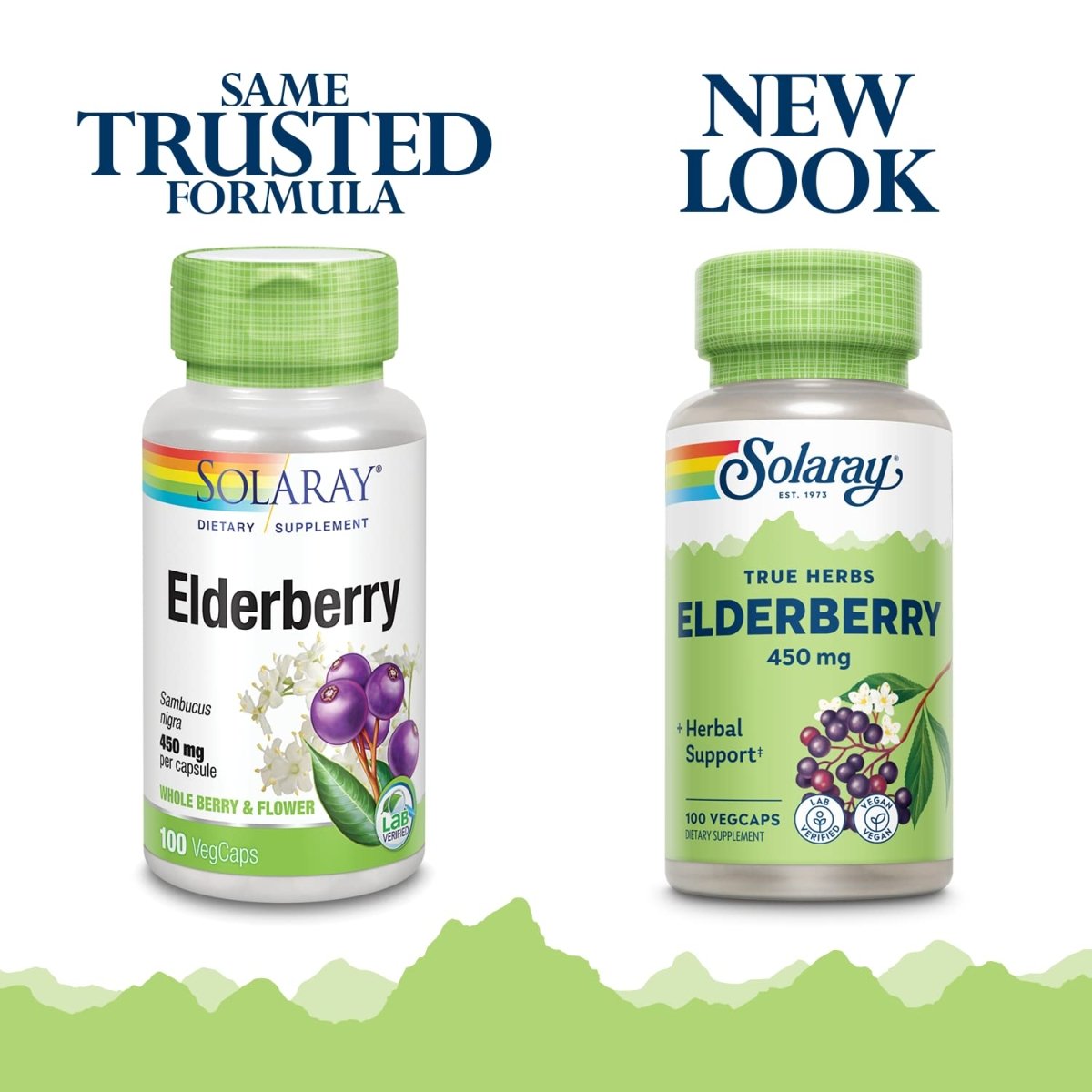 SOLARAY Elderberry Berry & Flower 450mg 100ct