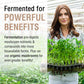 SOLARAY Fermented Chaga Mushroom 500 mg 30 Servings 60 VegCaps
