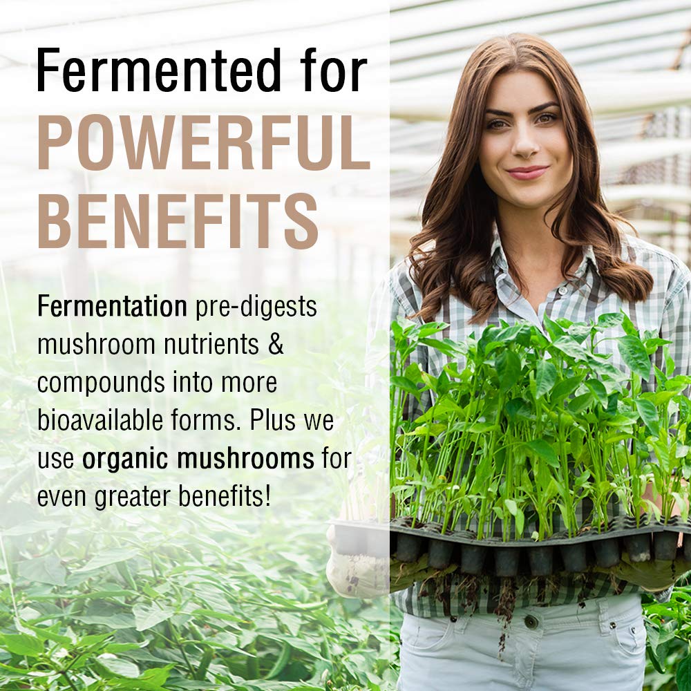 SOLARAY Fermented Chaga Mushroom 500 mg 30 Servings 60 VegCaps