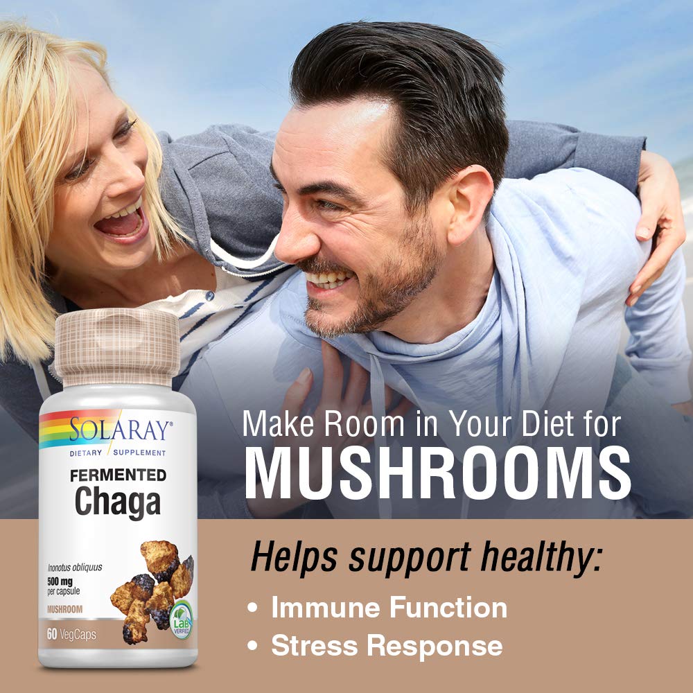 SOLARAY Fermented Chaga Mushroom 500 mg 30 Servings 60 VegCaps