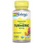 SOLARAY Fermented Turmeric Root 500mg 100 VegCaps